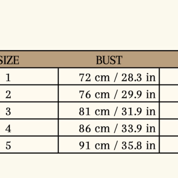 378. REFINE The Rachel Silk Cami Top Sand $292 Like New Sz 2 = US 4 - Picture 3 of 3